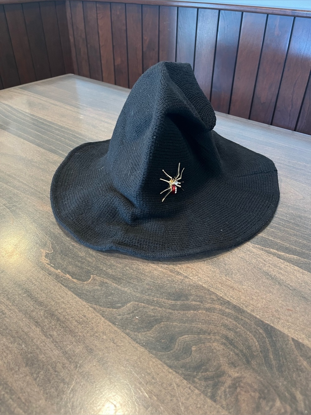 Adult Witches Hat w/ spider pin
Color: Black